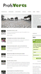 Mobile Screenshot of profsverts.com